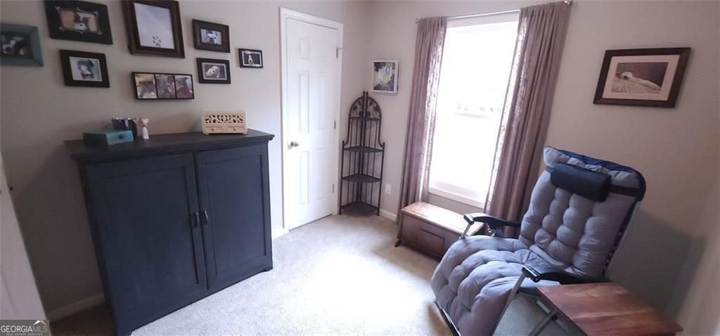 5564 Elderberry Lane Flowery Branch - Photo 19