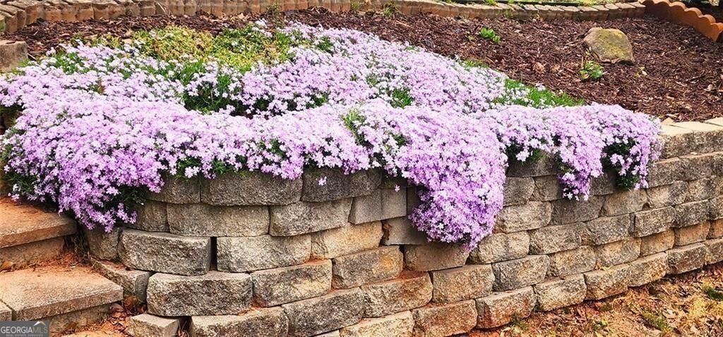 5564 Elderberry Lane Flowery Branch - Photo 38