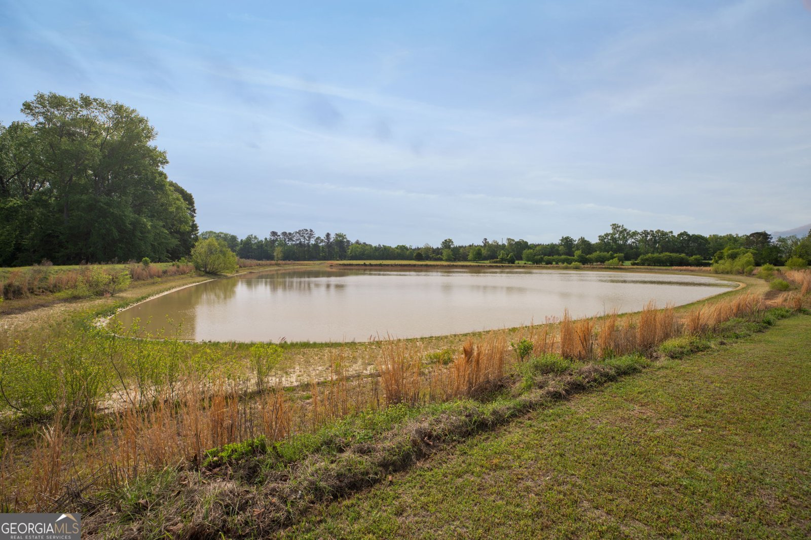 2705 Piney Mount Road Tennille - Photo 17