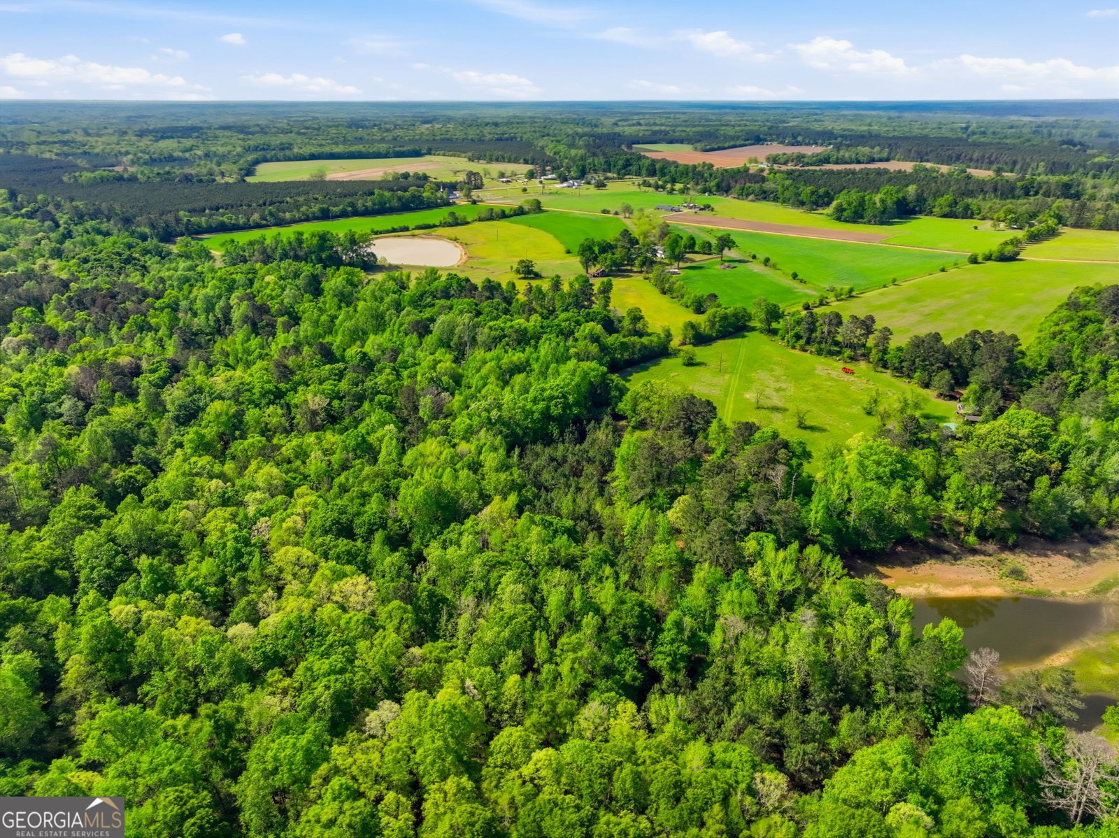 2705 Piney Mount Road Tennille - Photo 50