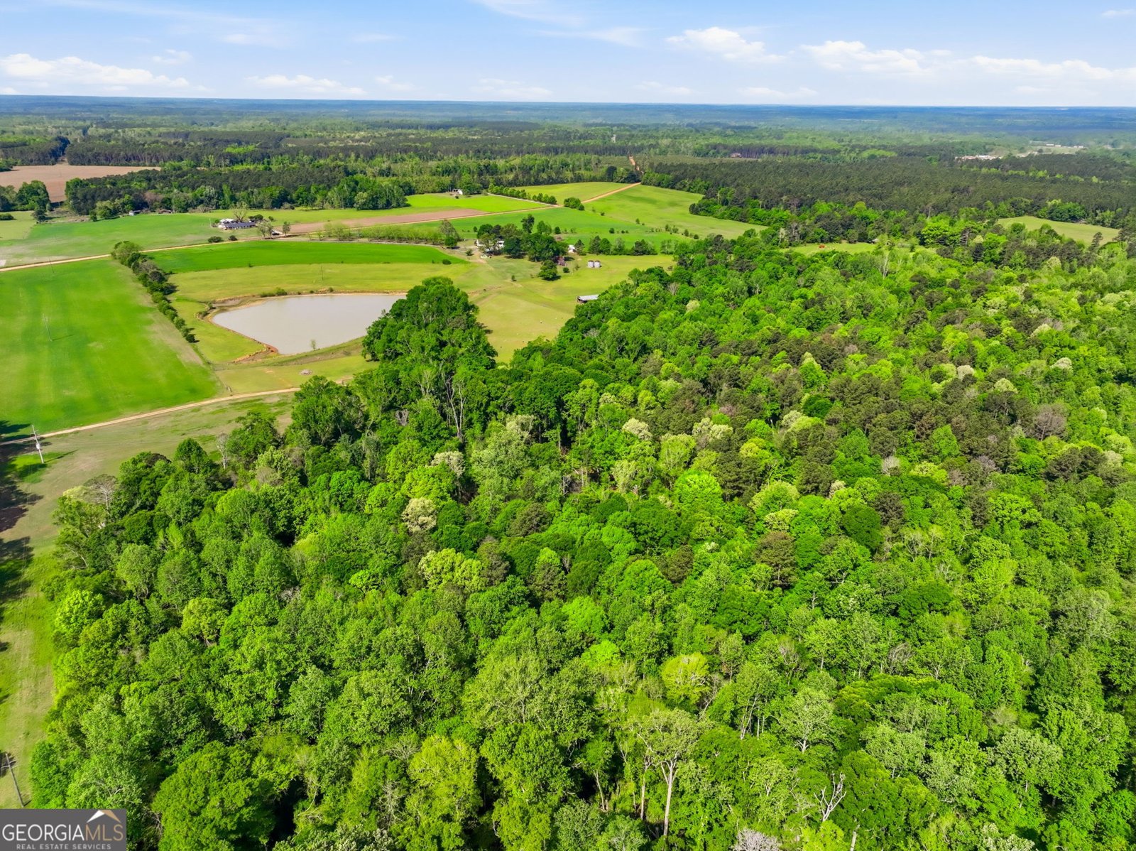 2705 Piney Mount Road Tennille - Photo 52