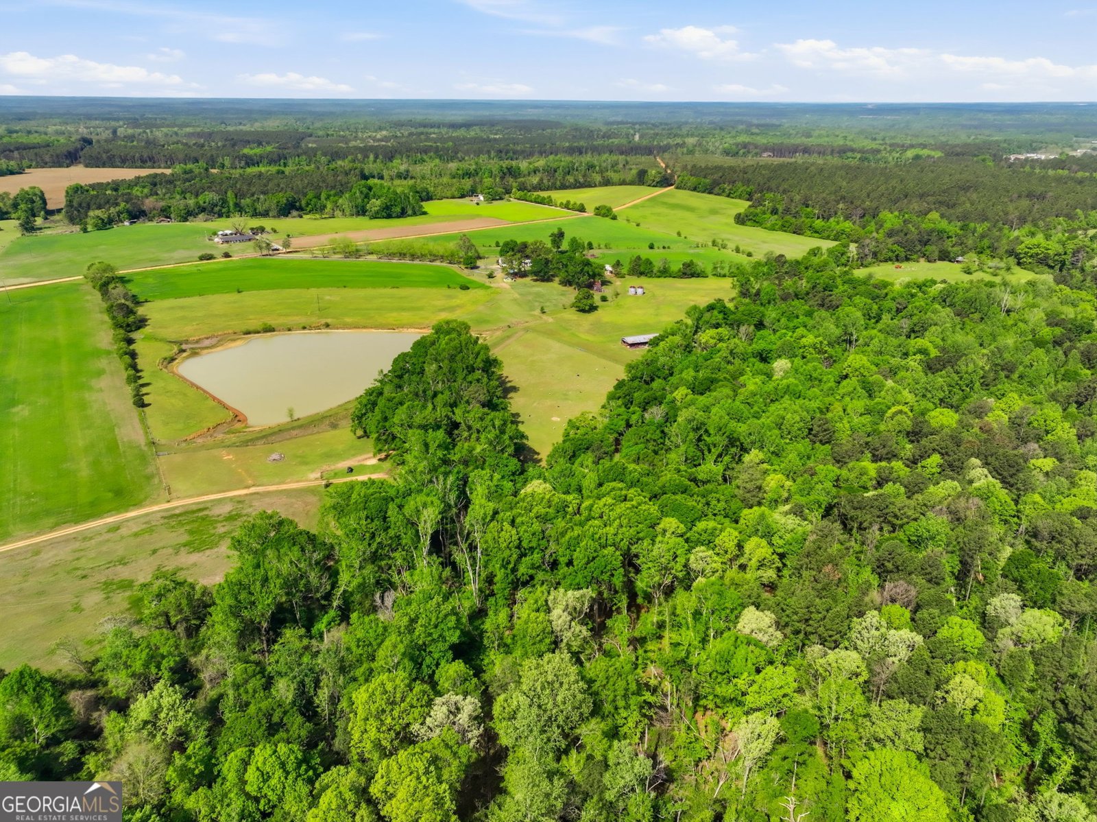 2705 Piney Mount Road Tennille - Photo 56