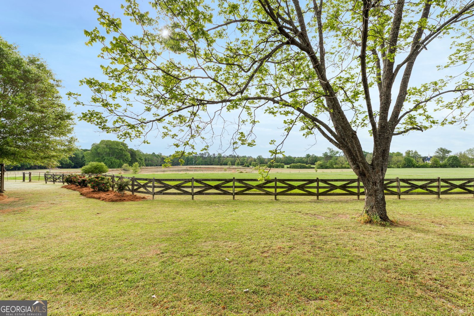 2705 Piney Mount Road Tennille - Photo 6
