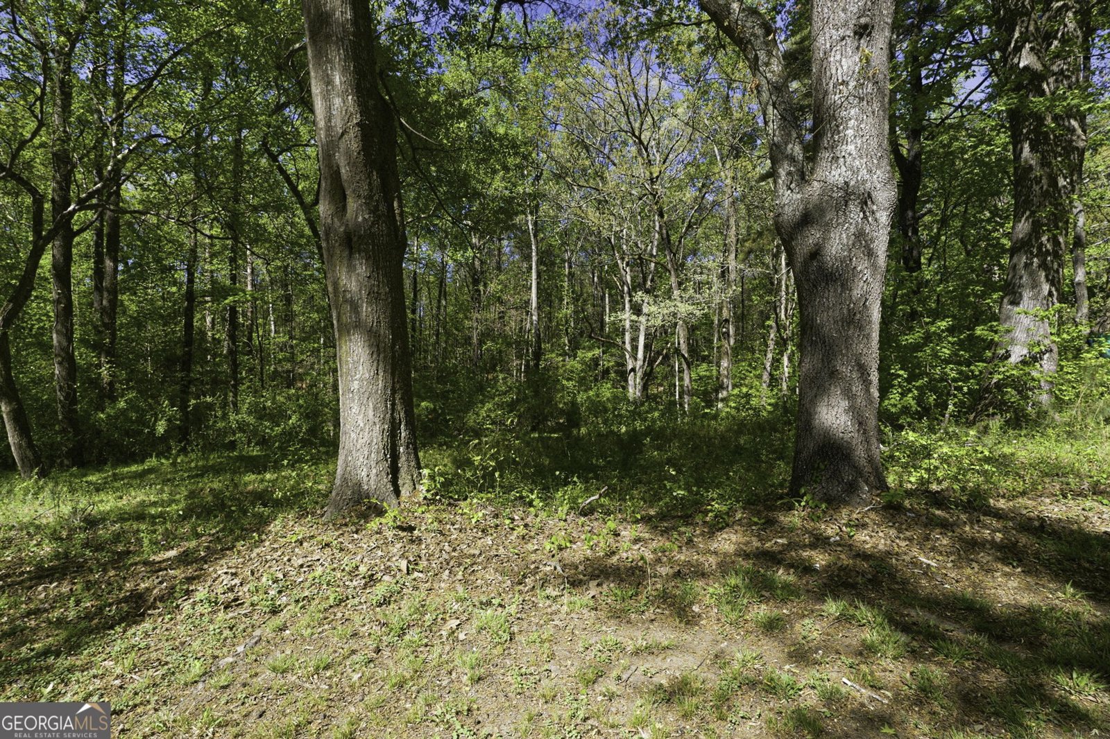 5575 Oglesby Road Atlanta - Photo 24