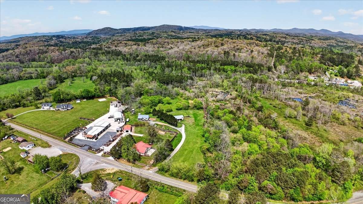 5026 Highway 136 Talking Rock - Photo 39