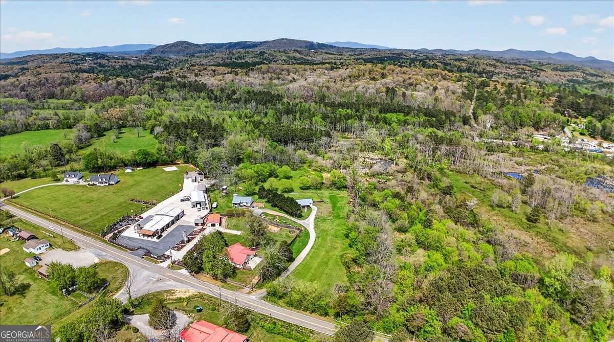 5026 Highway 136 Talking Rock - Photo 47