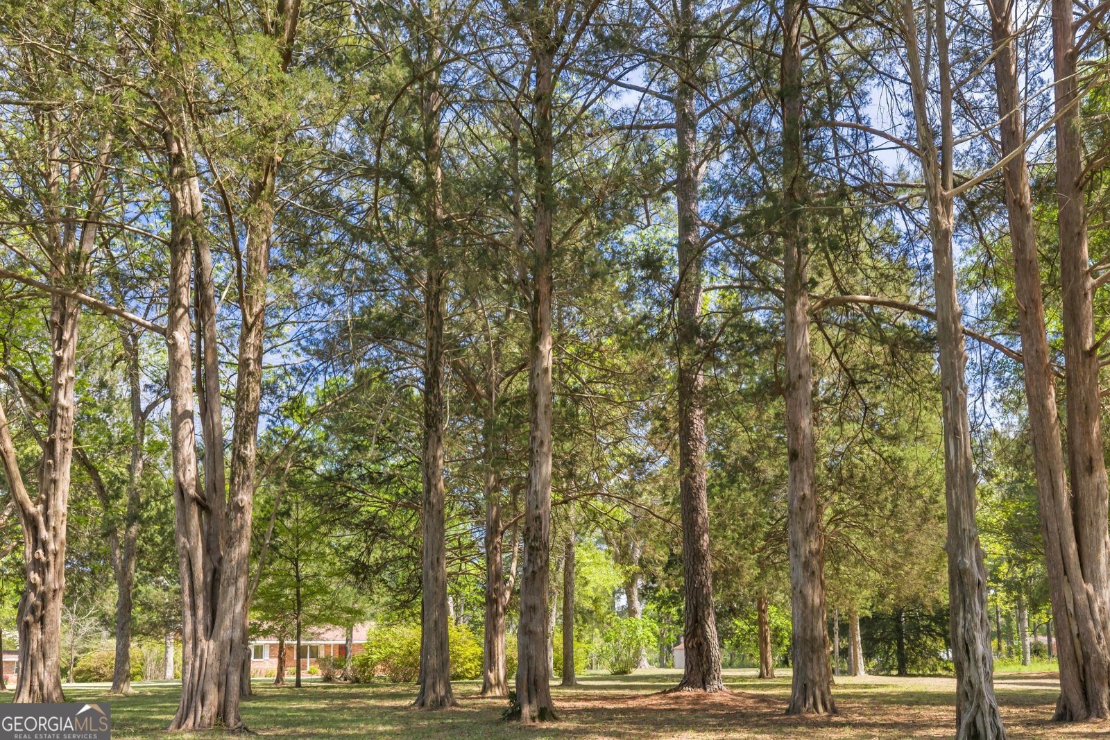 242 Lake Joy Road Perry - Photo 58