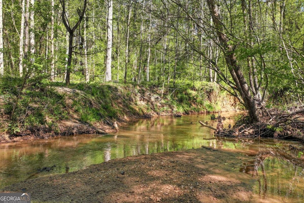 1197 Dee Kennedy Road Auburn - Photo 78