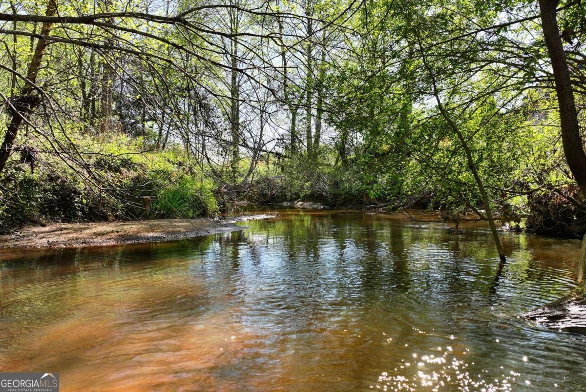 1197 Dee Kennedy Road Auburn - Photo 79