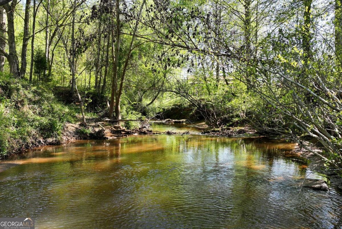 1197 Dee Kennedy Road Auburn - Photo 80