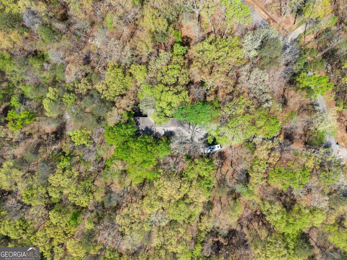 5515 Holly Hill Drive Gainesville - Photo 52