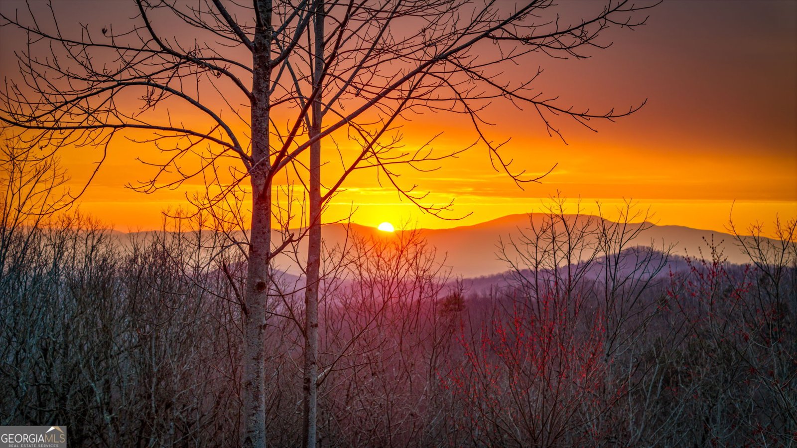 1150 Mountain High Drive Mineral Bluff - Photo 91