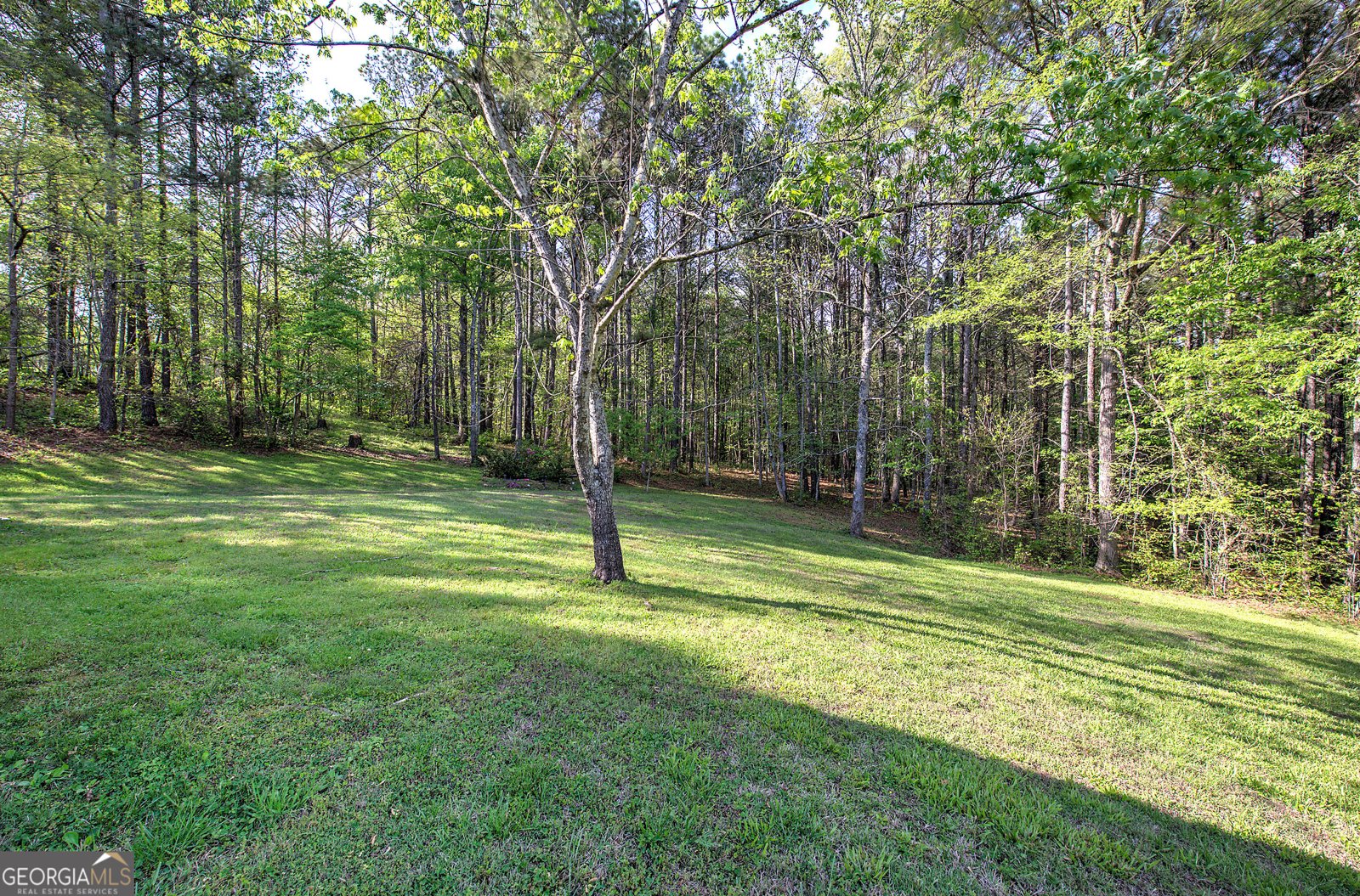 309 Russell Hill Estates Drive Sugar Valley - Photo 40