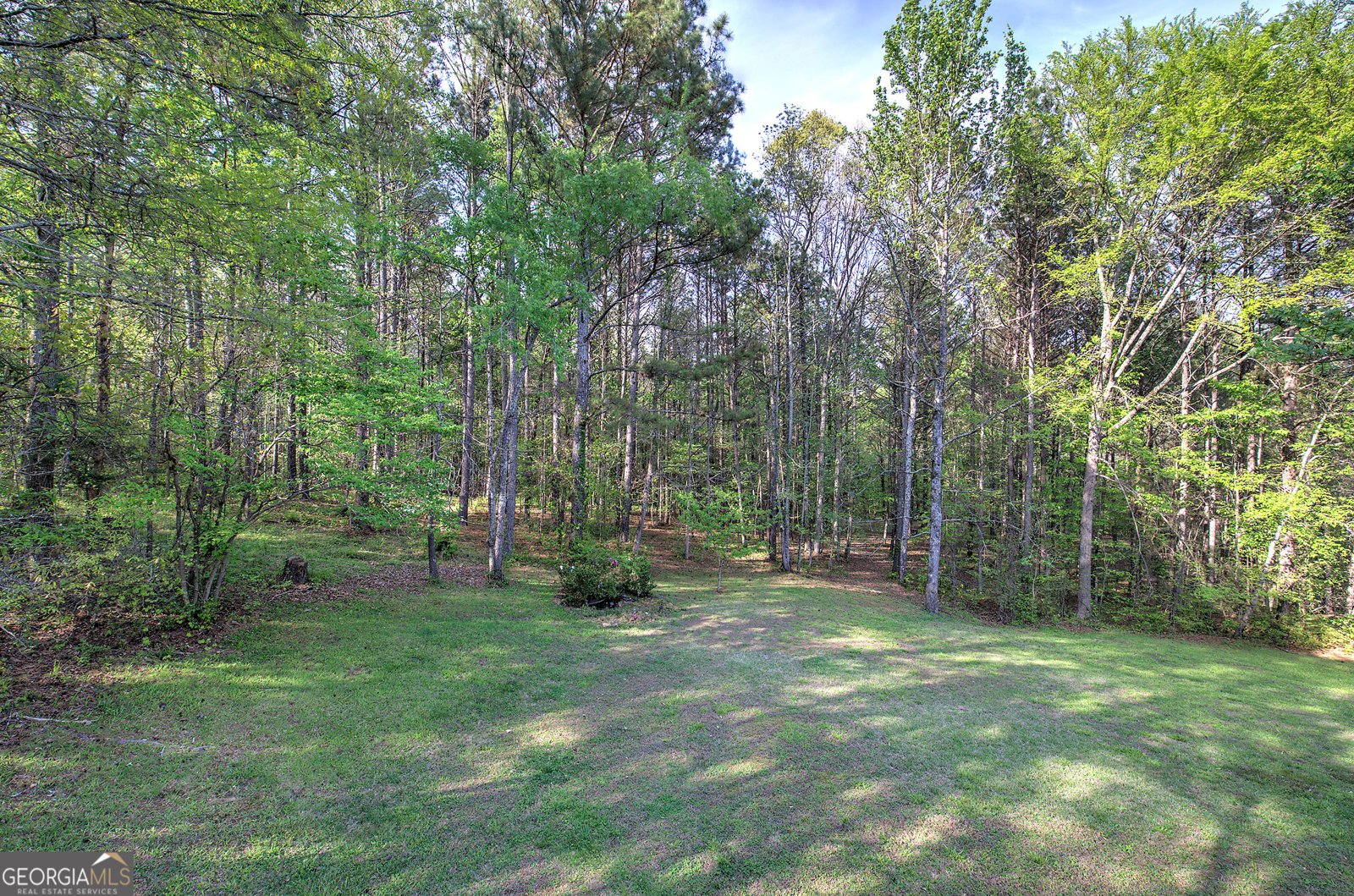 309 Russell Hill Estates Drive Sugar Valley - Photo 46