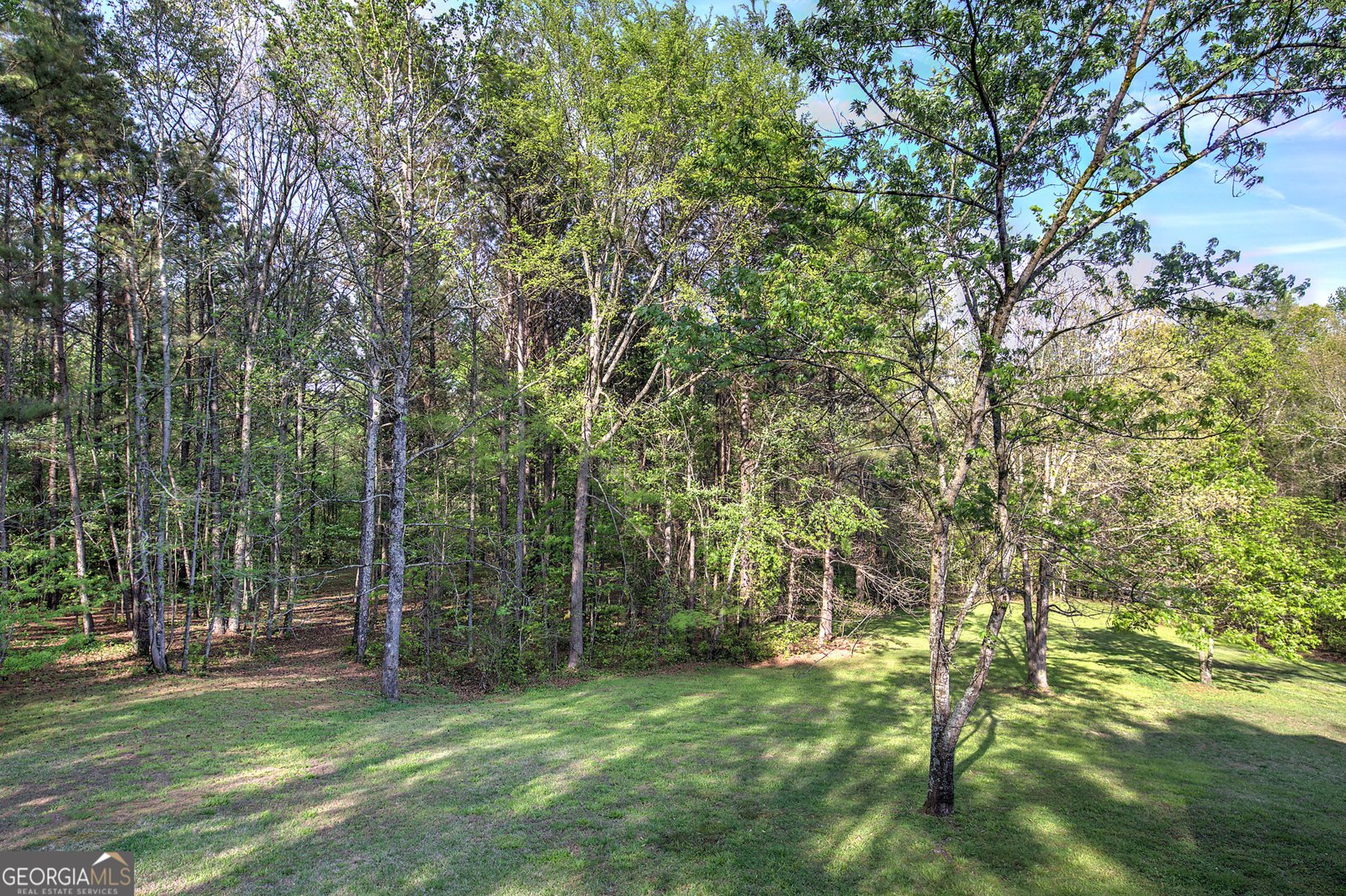 309 Russell Hill Estates Drive Sugar Valley - Photo 47