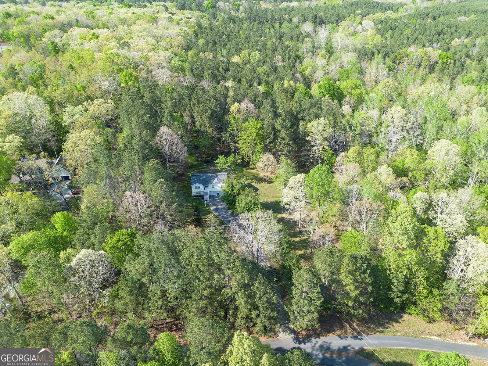 309 Russell Hill Estates Drive Sugar Valley - Photo 55