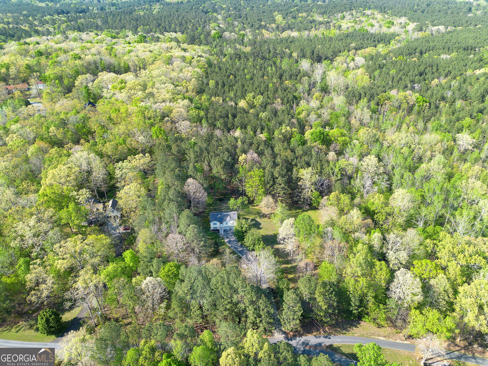 309 Russell Hill Estates Drive Sugar Valley - Photo 56