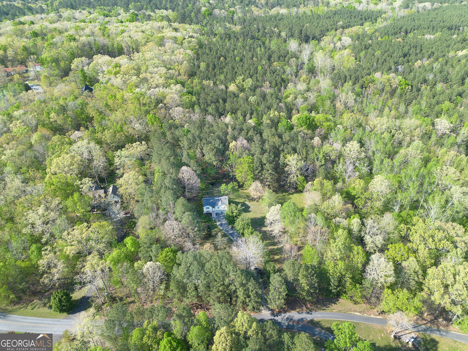 309 Russell Hill Estates Drive Sugar Valley - Photo 57