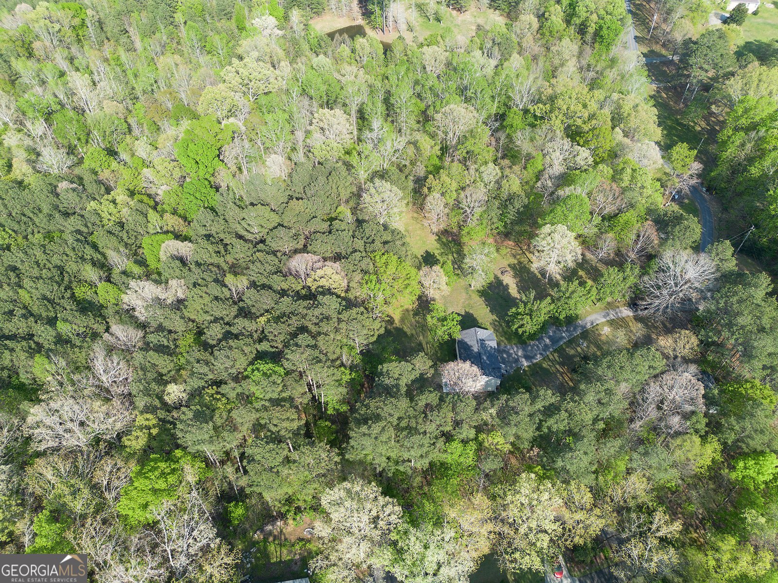 309 Russell Hill Estates Drive Sugar Valley - Photo 60