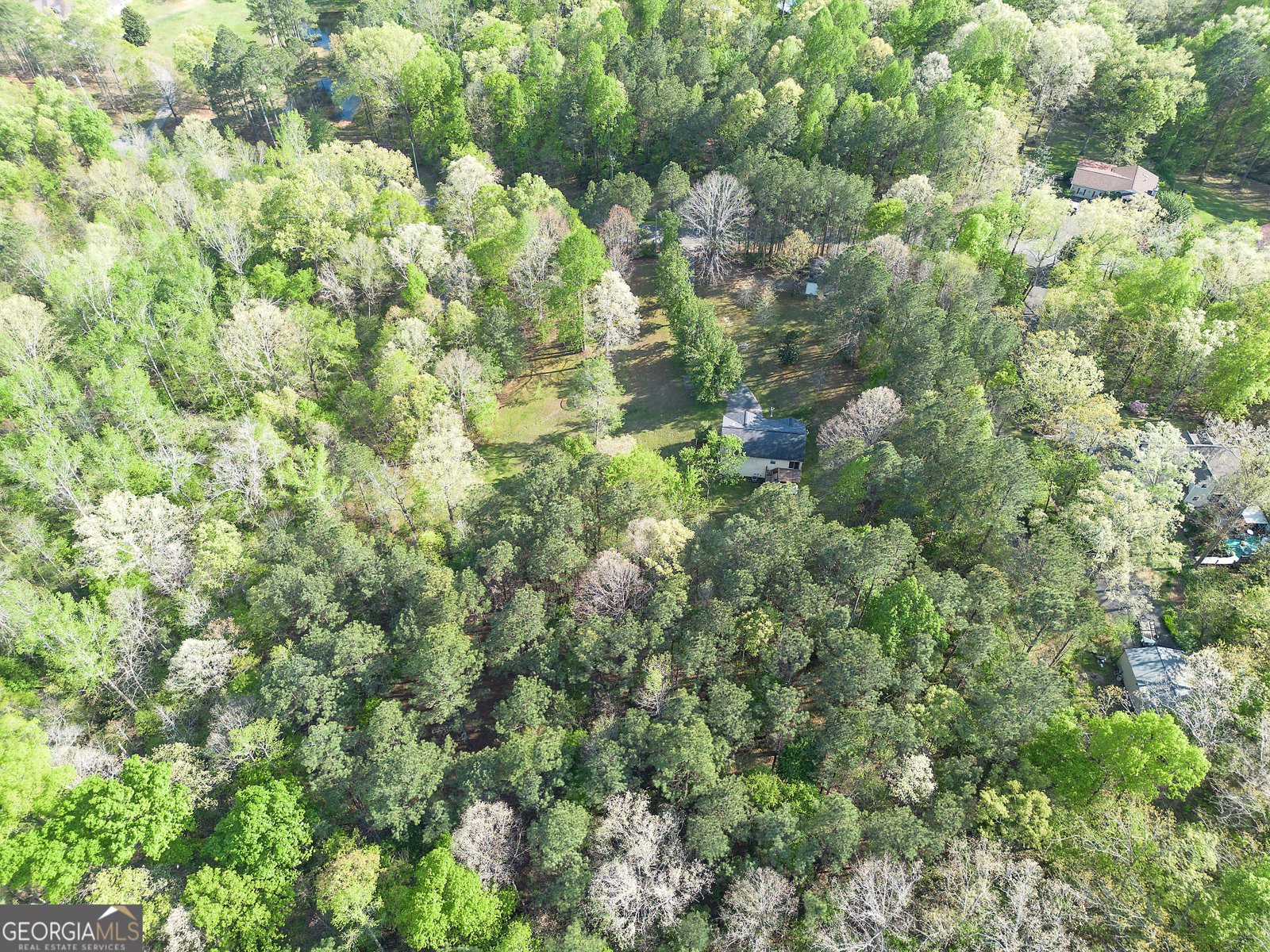 309 Russell Hill Estates Drive Sugar Valley - Photo 61