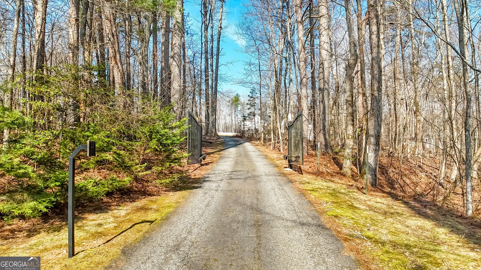 2345 Fred Pitts Road Clarkesville - Photo 9