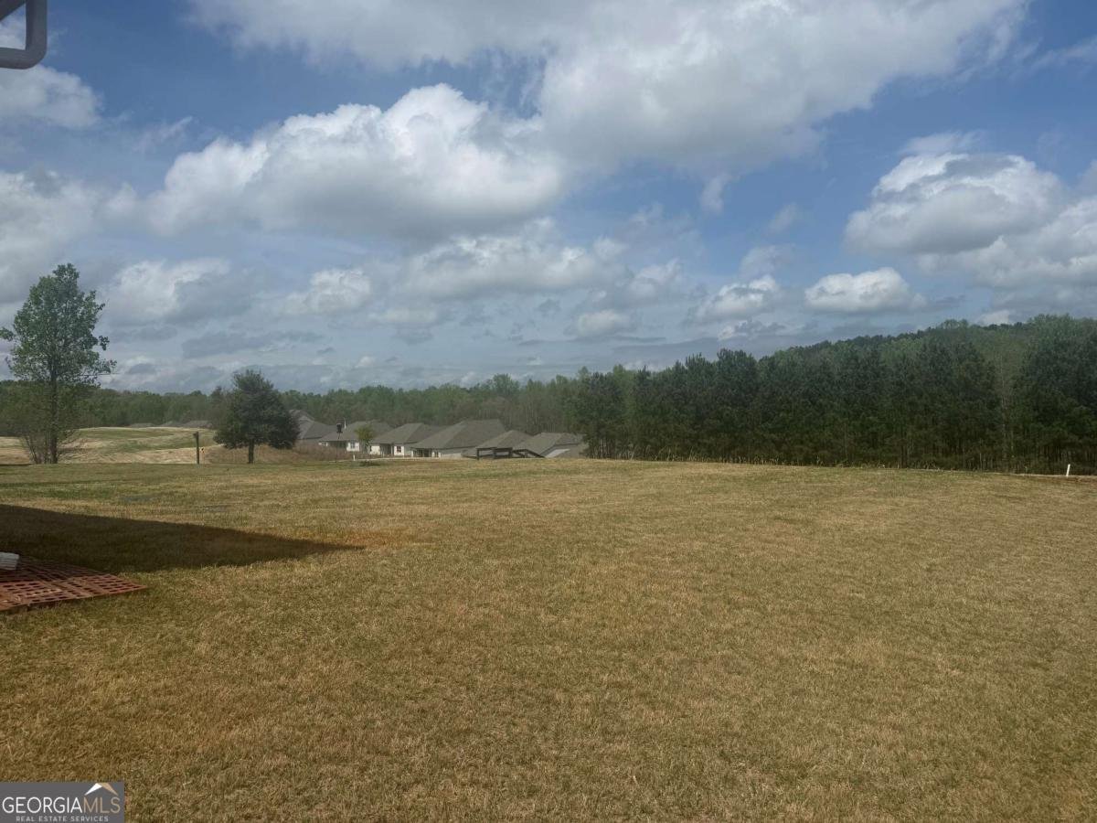 139 Swallowtail Lane Homer - Photo 33