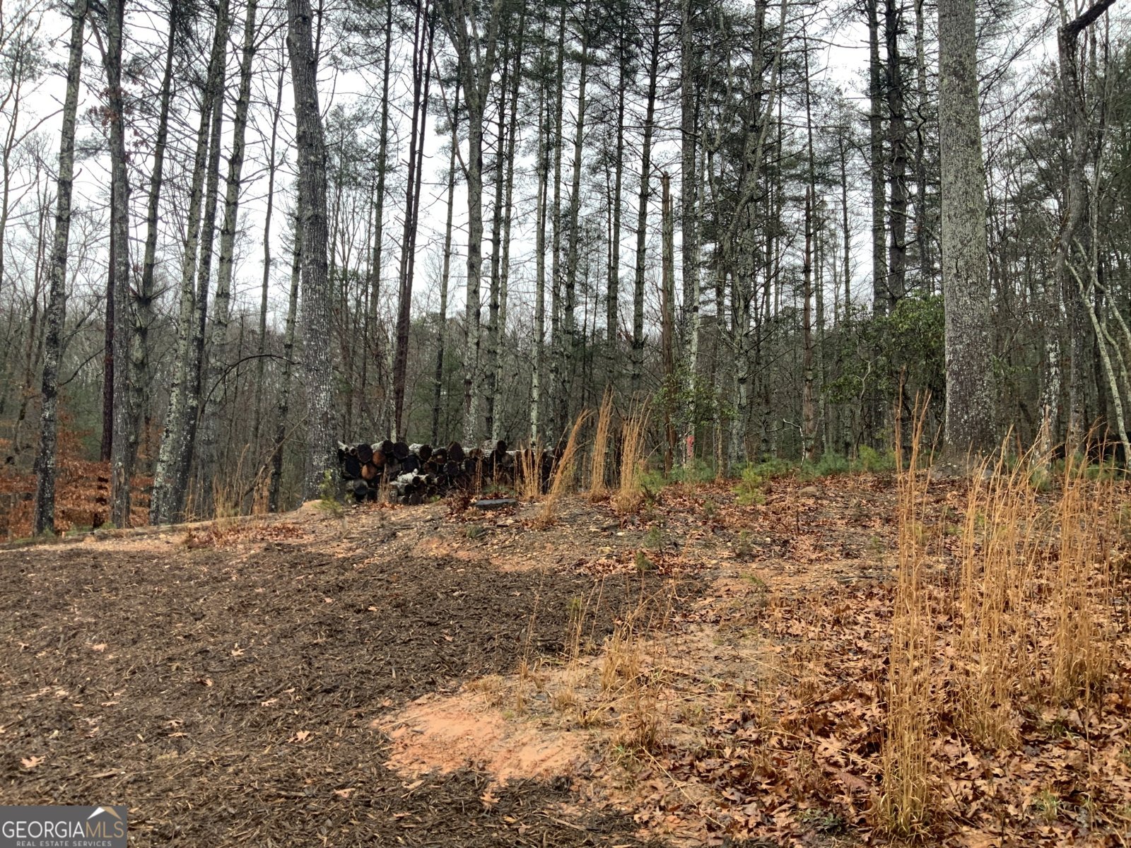 2055 Star Creek Road Morganton - Photo 35