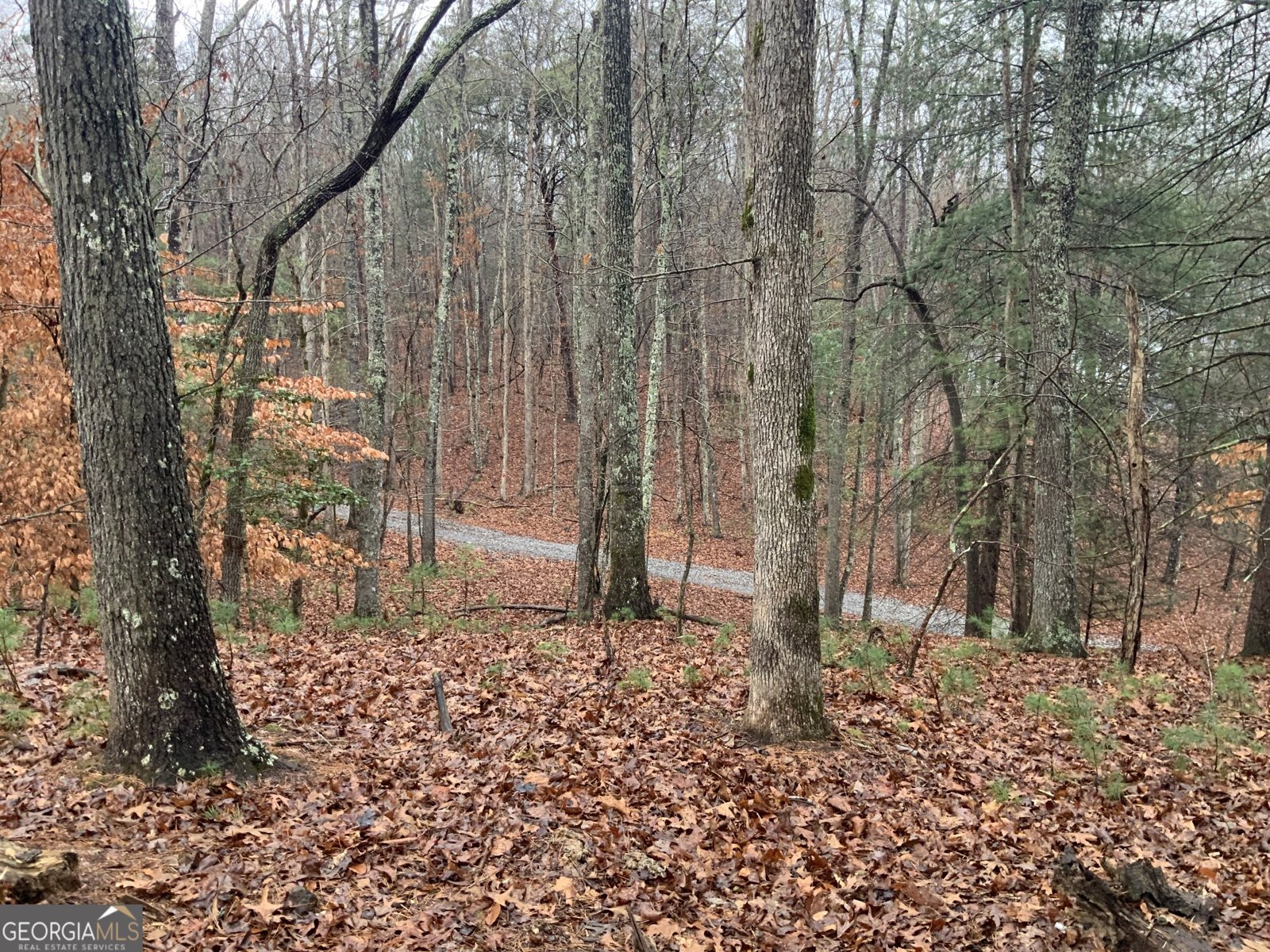 2055 Star Creek Road Morganton - Photo 37