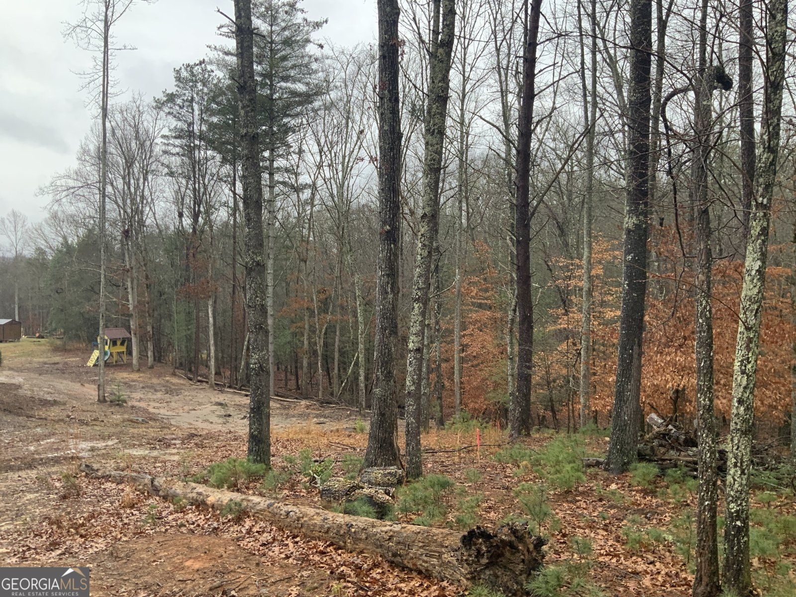 2055 Star Creek Road Morganton - Photo 38