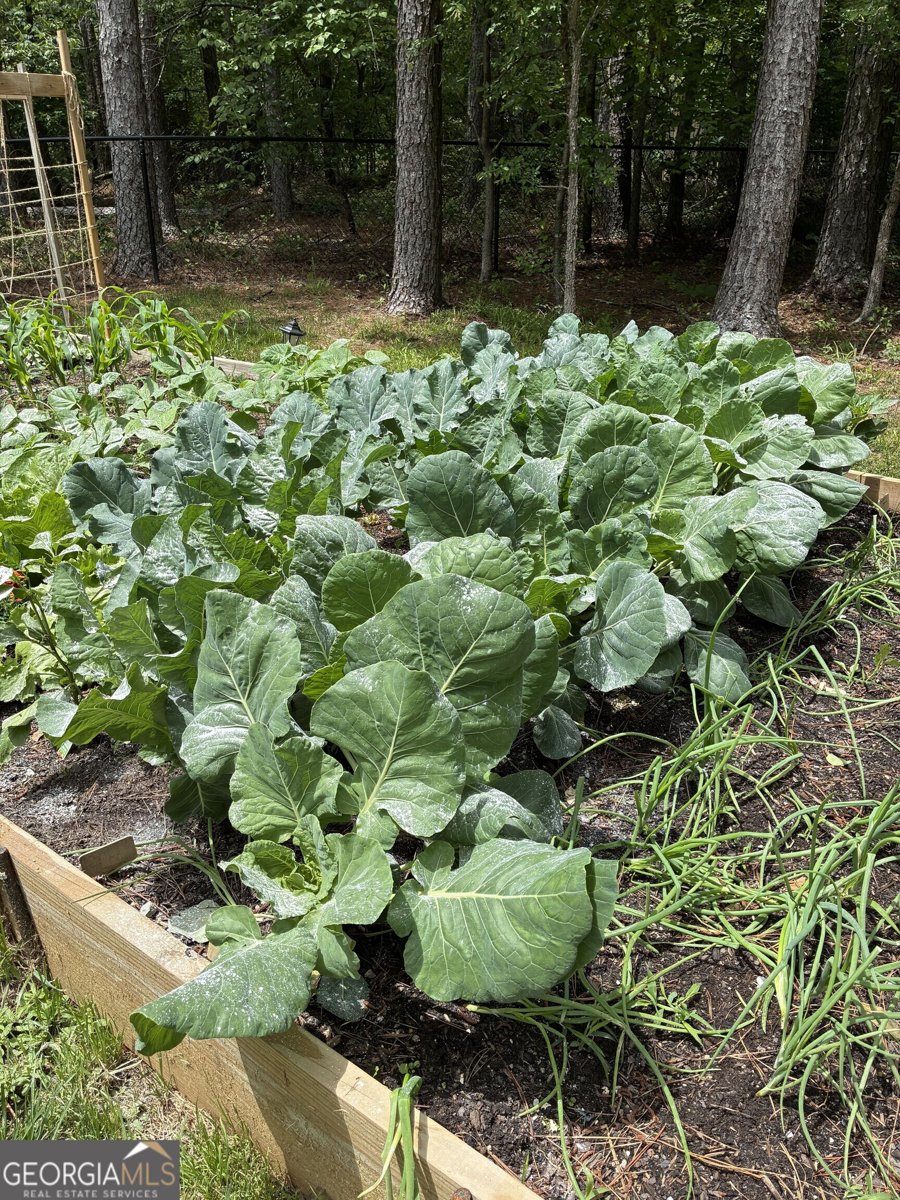 287 Bell Loop Chatsworth - Photo 25