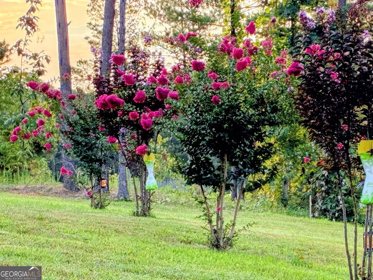 287 Bell Loop Chatsworth - Photo 28