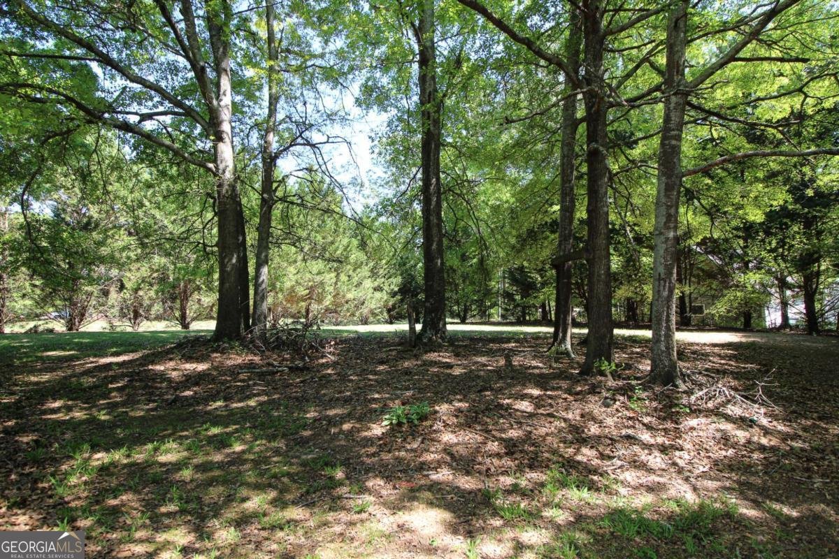 171 Crystal Creek Drive Colbert - Photo 41