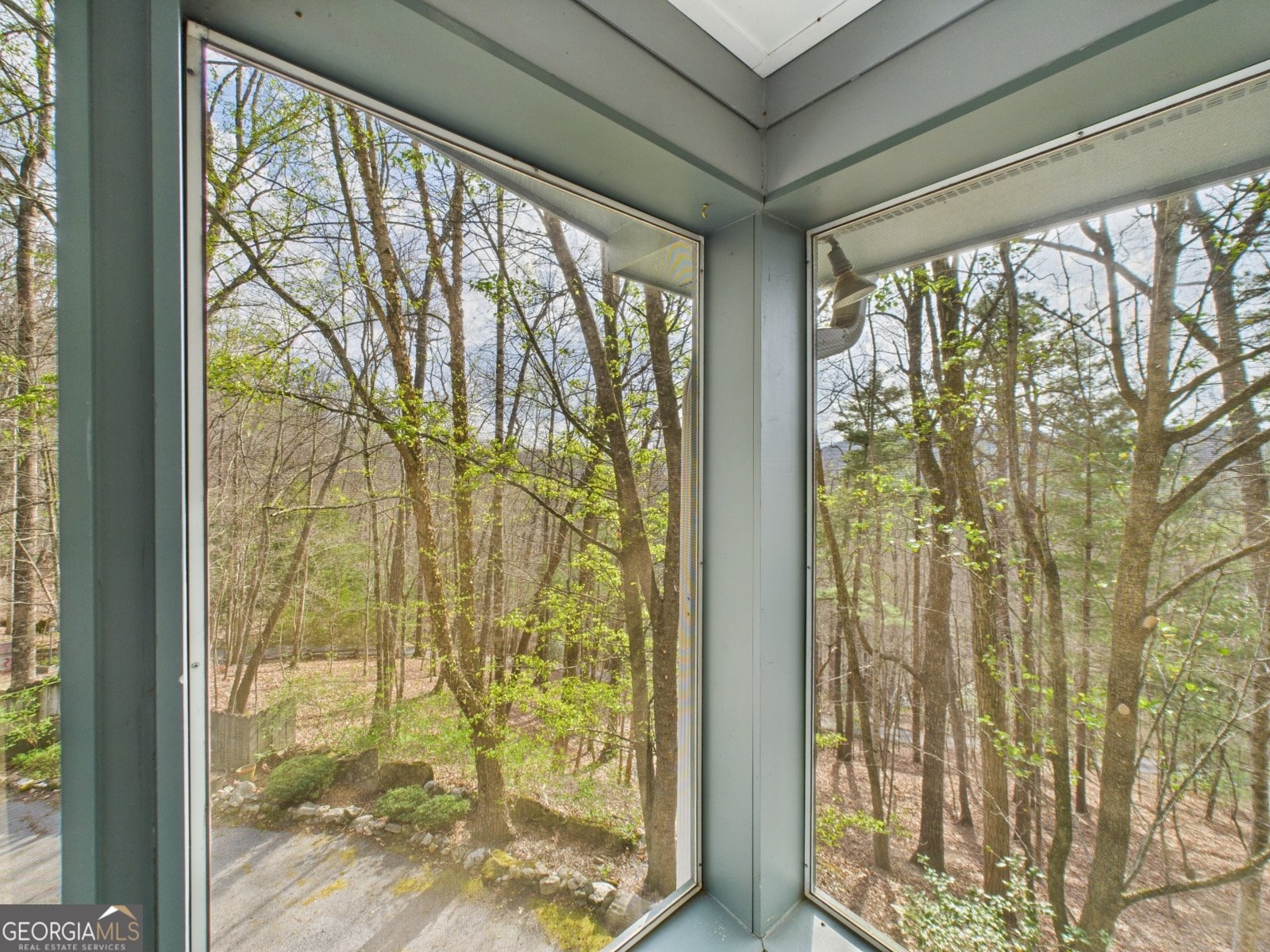 42 Gobbler Lane Clayton - Photo 25