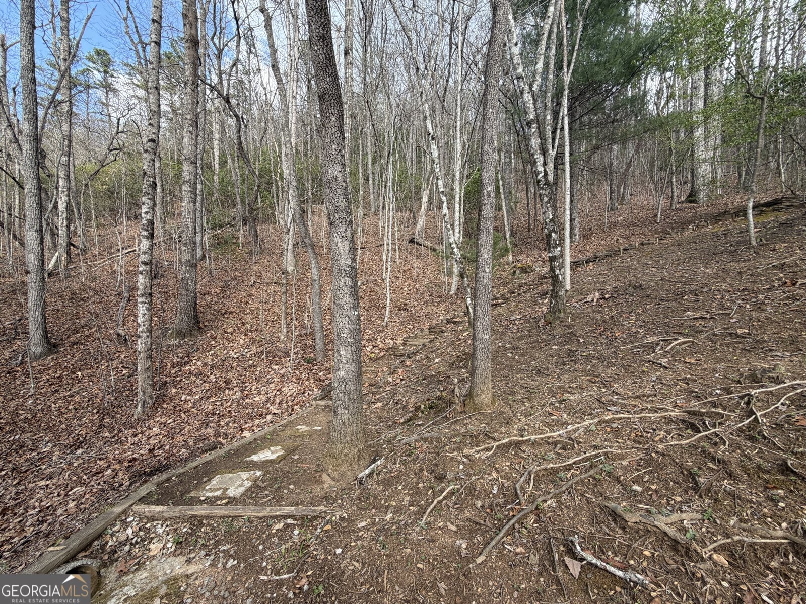 42 Gobbler Lane Clayton - Photo 29