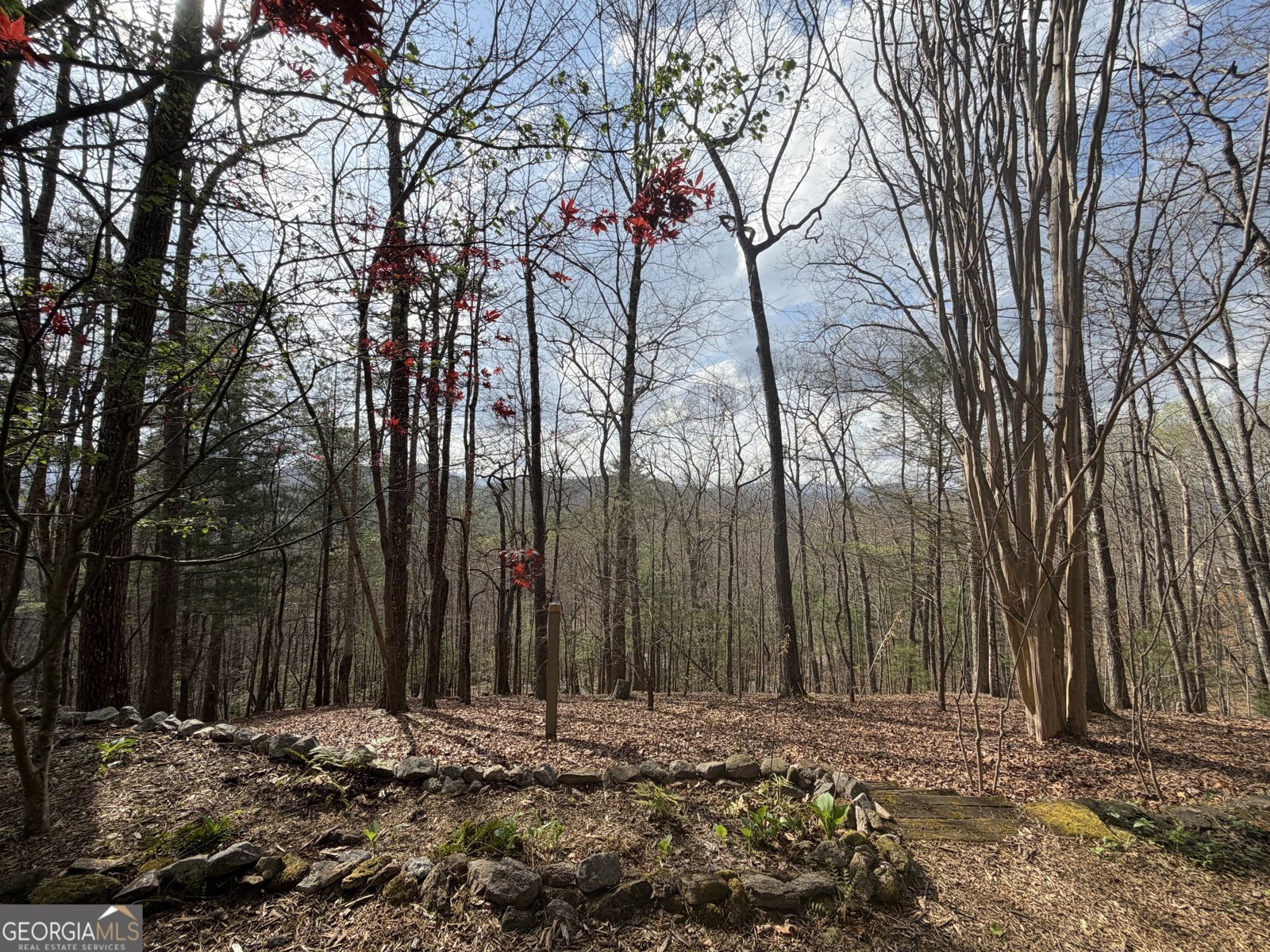 42 Gobbler Lane Clayton - Photo 39