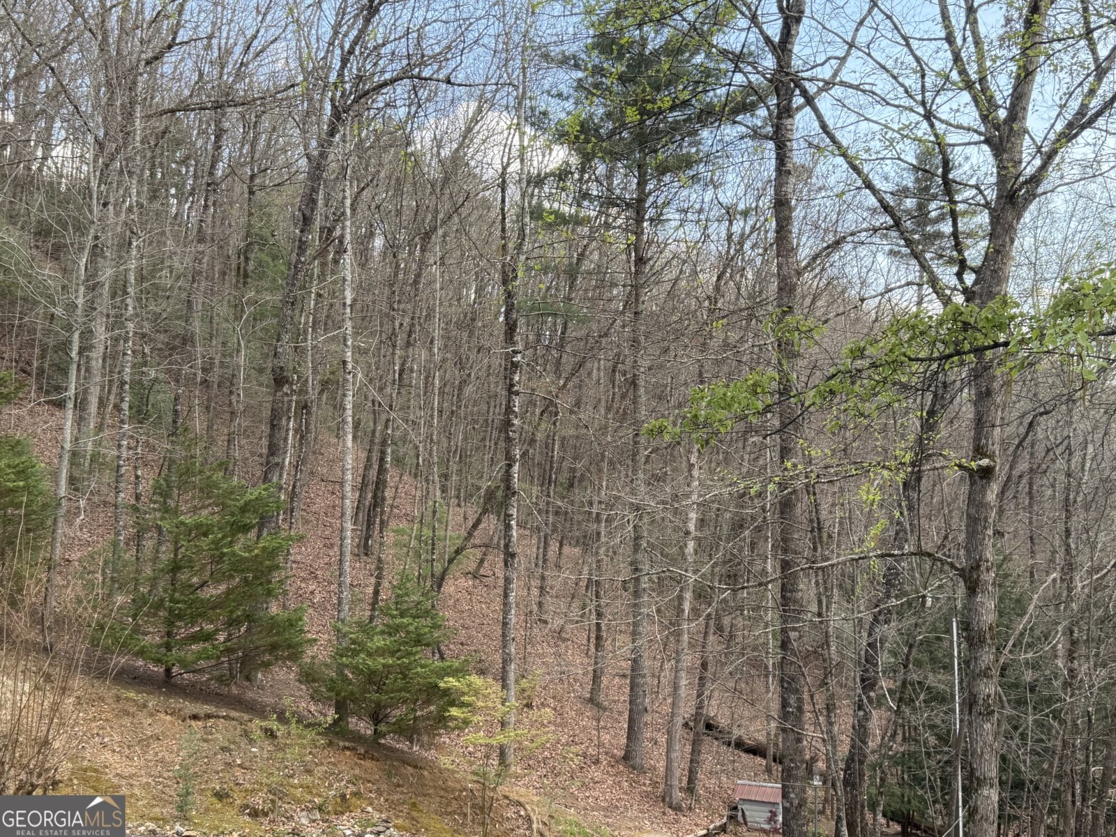 42 Gobbler Lane Clayton - Photo 54