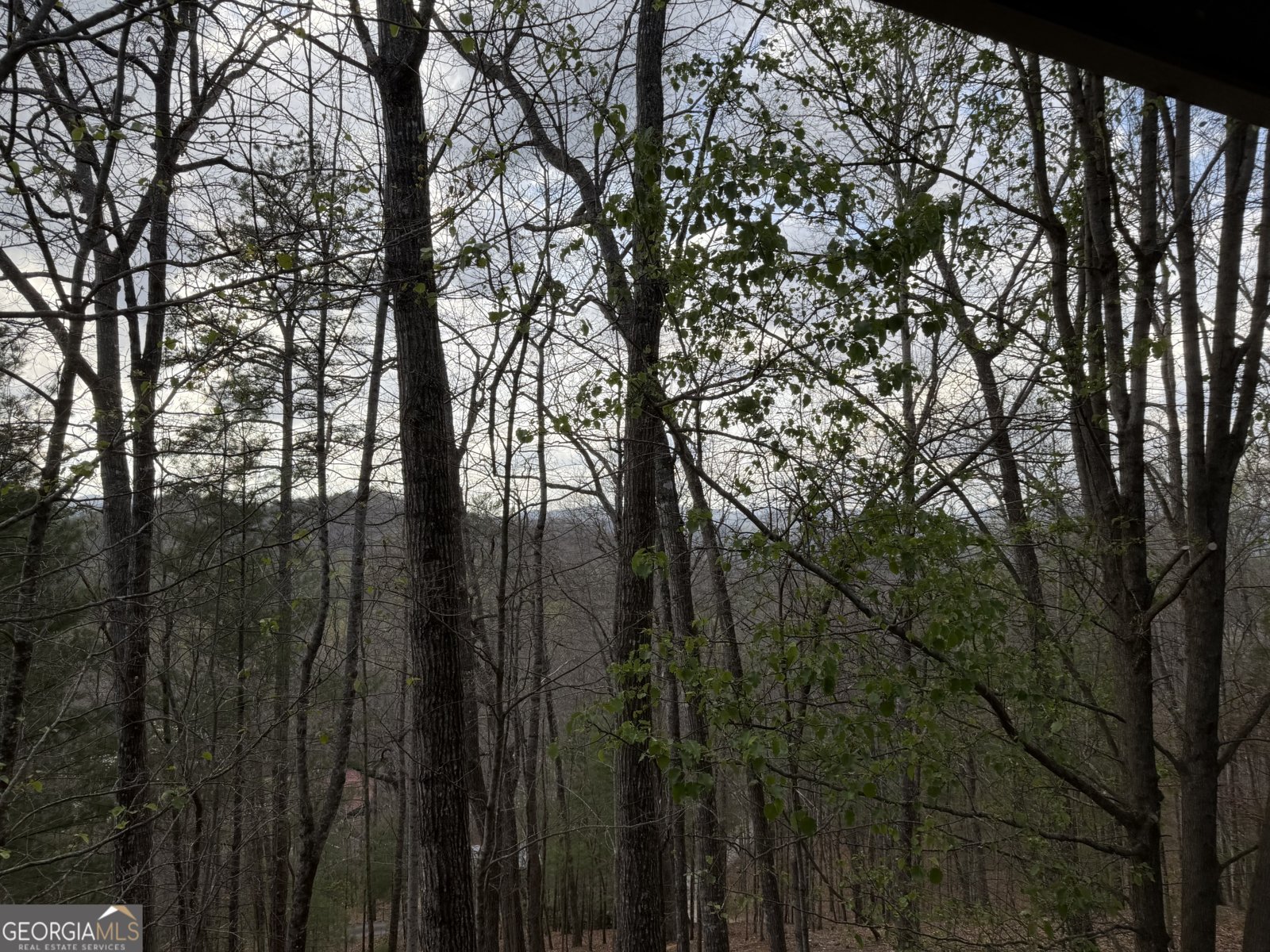 42 Gobbler Lane Clayton - Photo 55