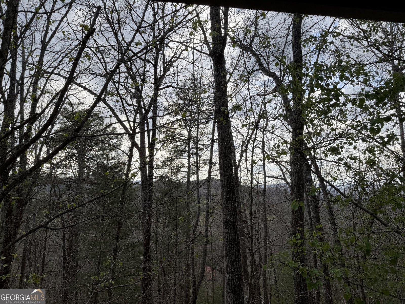 42 Gobbler Lane Clayton - Photo 56