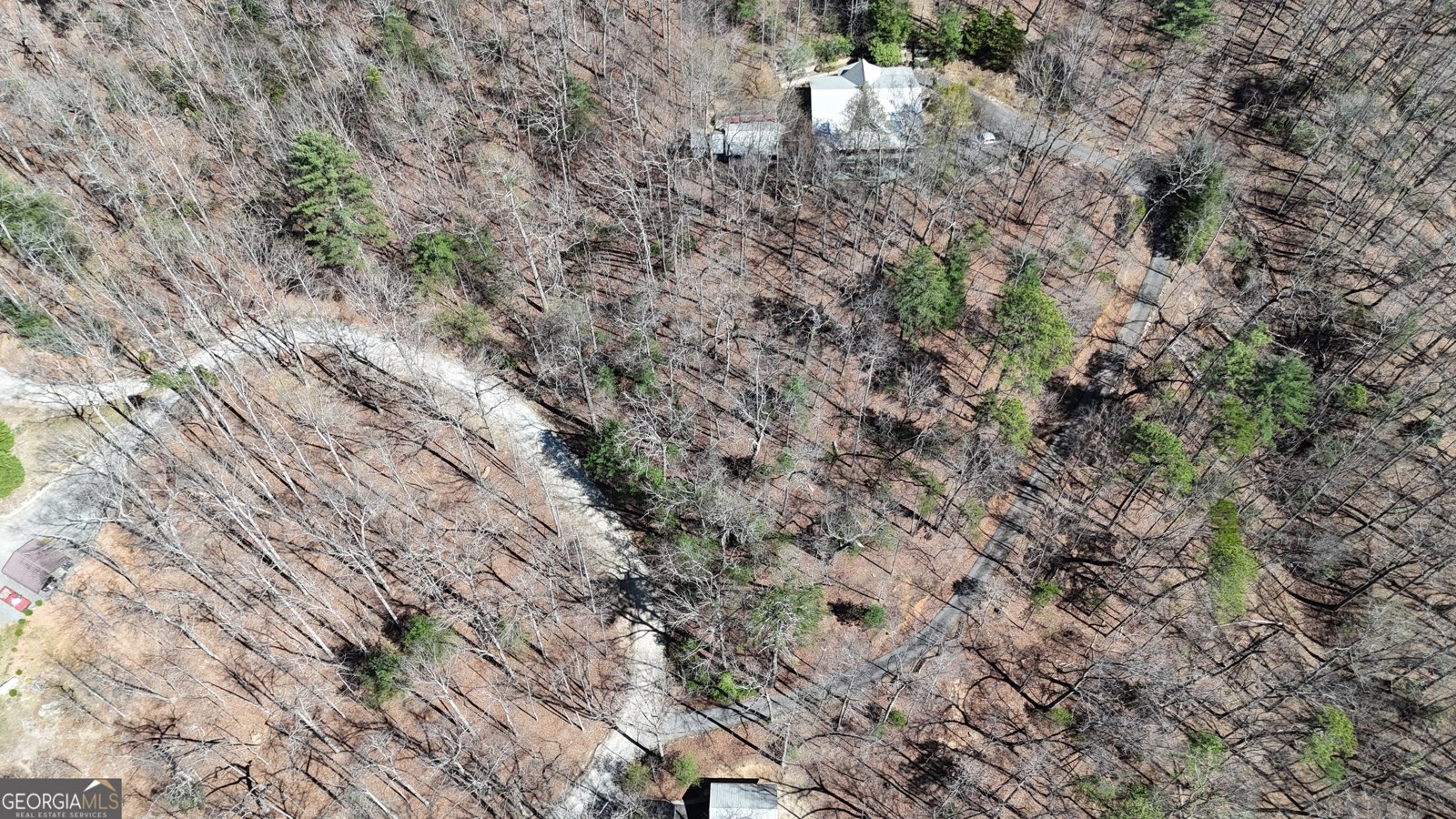 42 Gobbler Lane Clayton - Photo 61