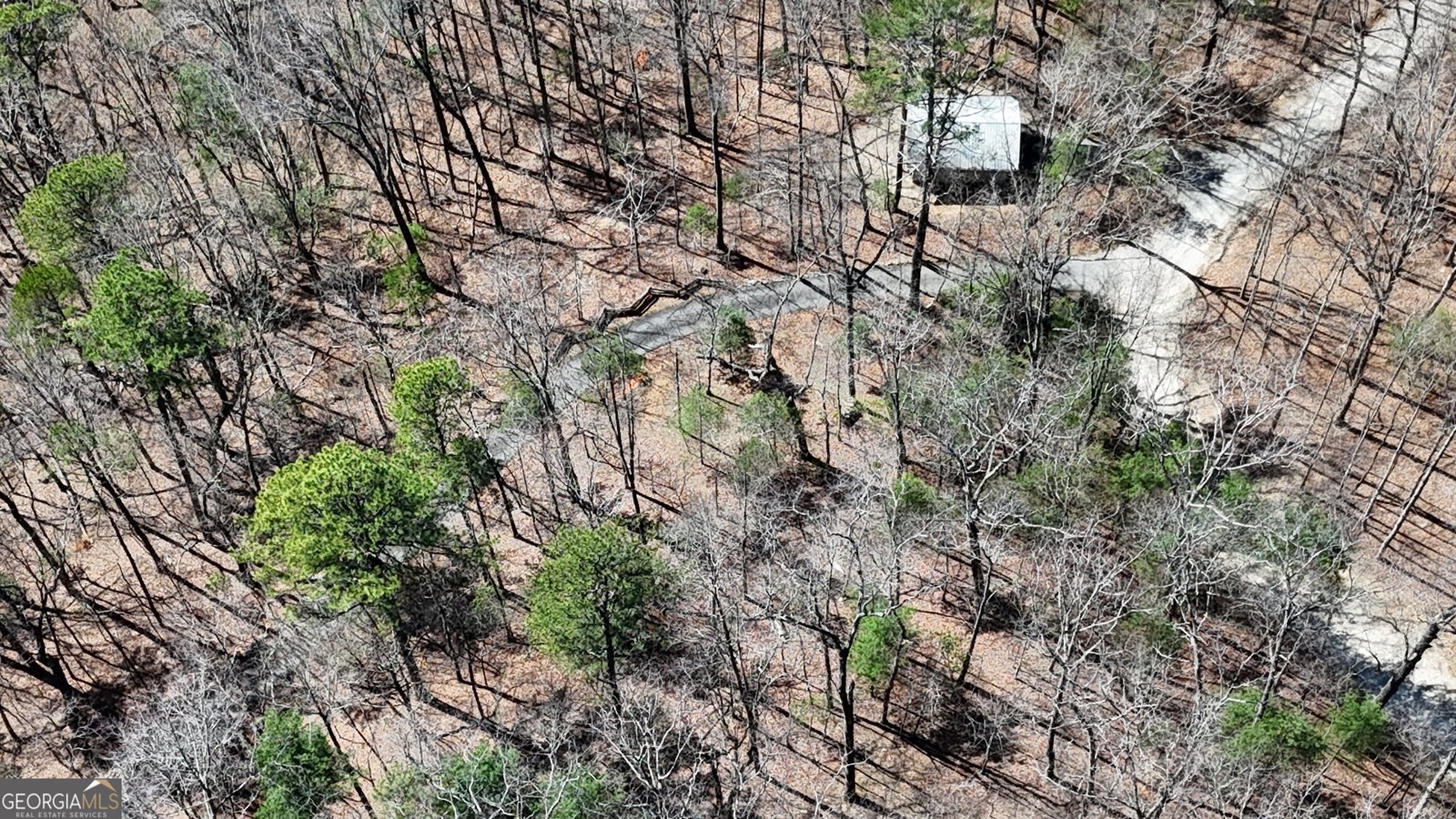 42 Gobbler Lane Clayton - Photo 66