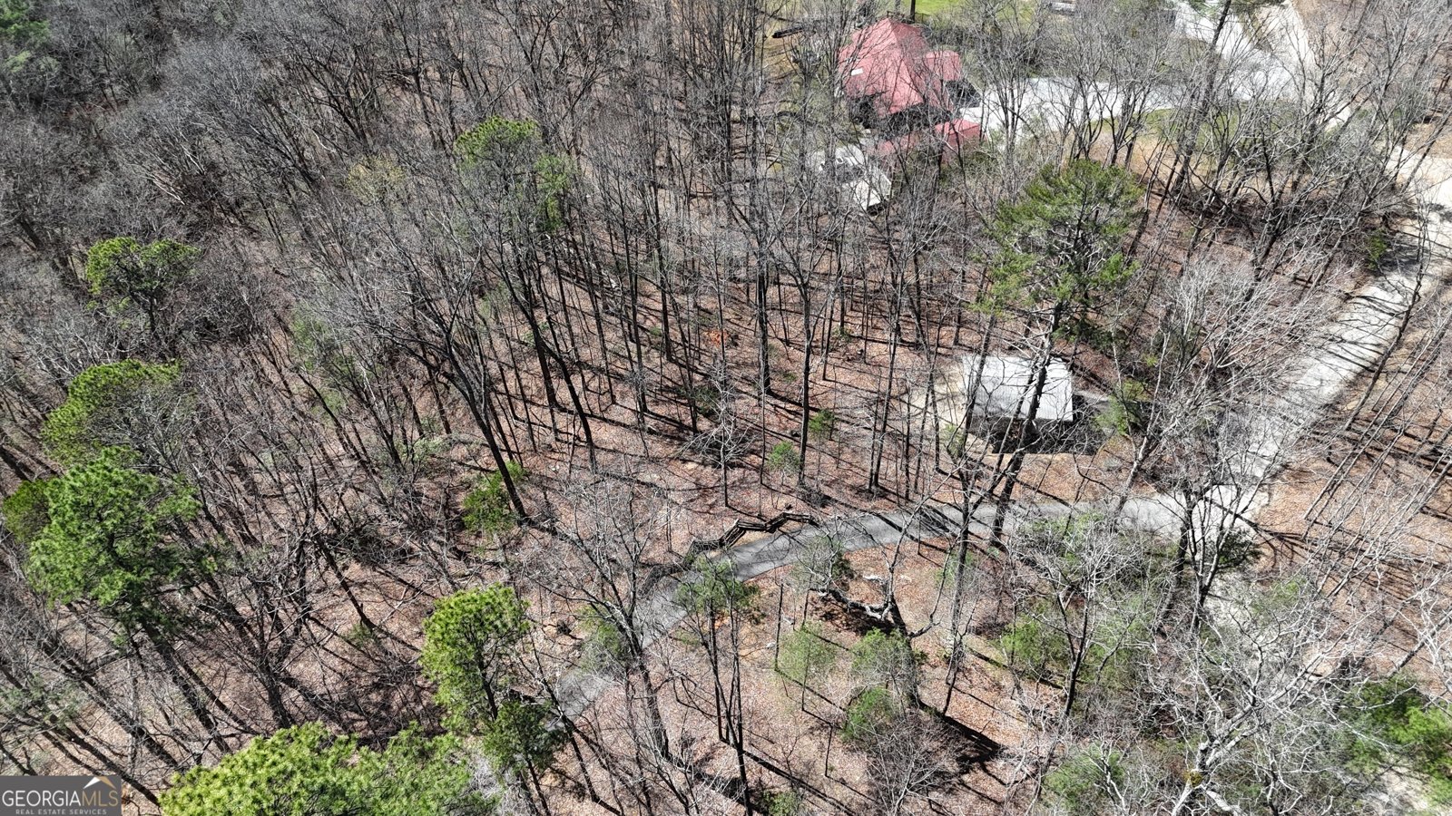 42 Gobbler Lane Clayton - Photo 74