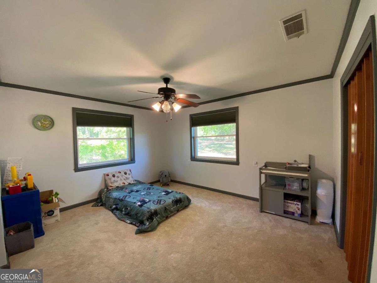 394 Thompson Lane Statesboro - Photo 20