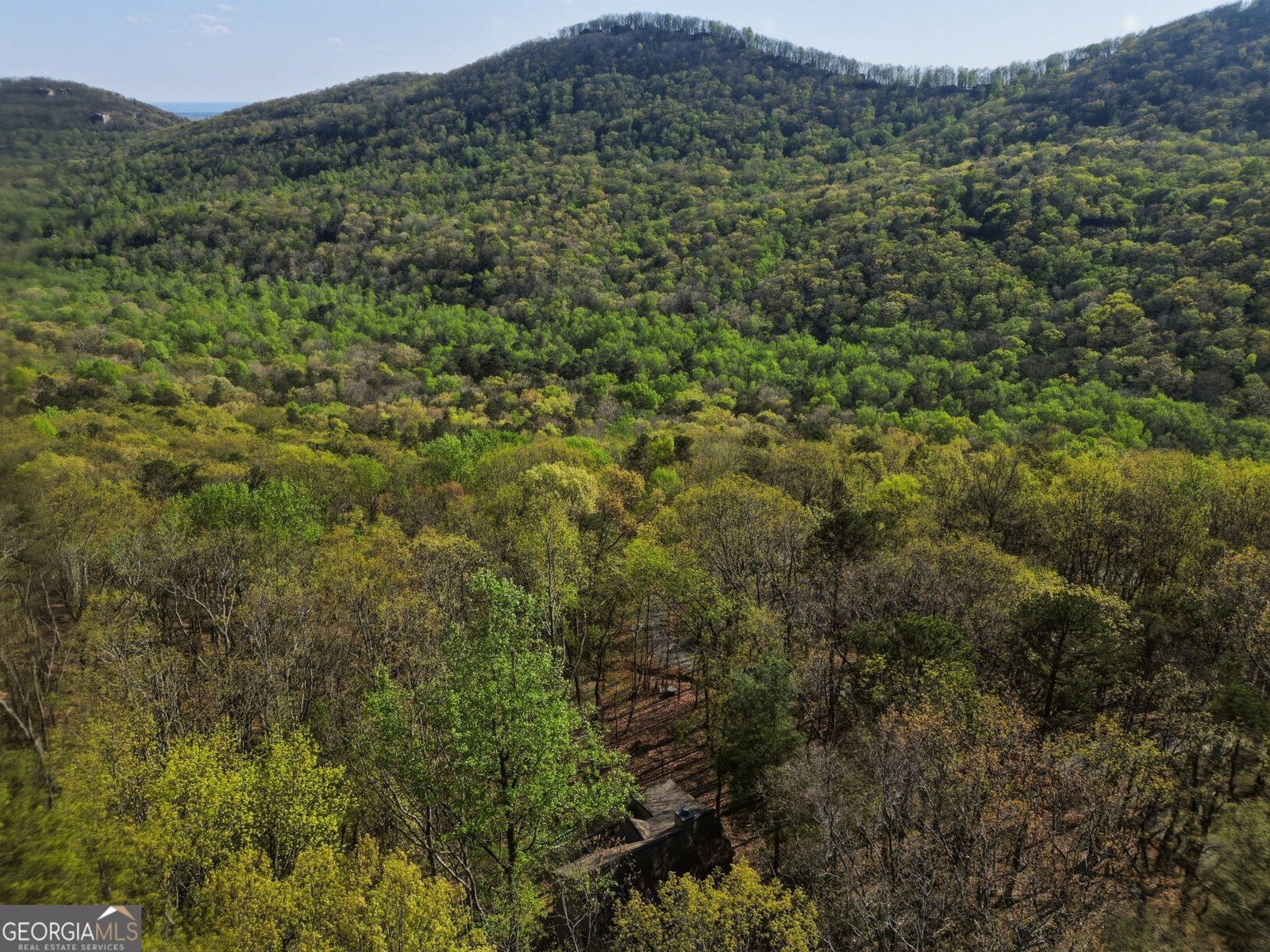 229 Teaberry Lane Jasper - Photo 32