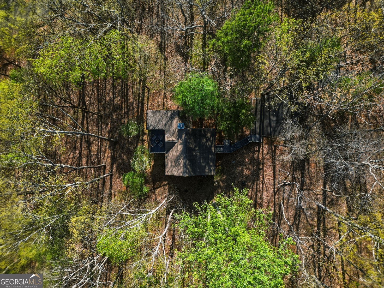 229 Teaberry Lane Jasper - Photo 33