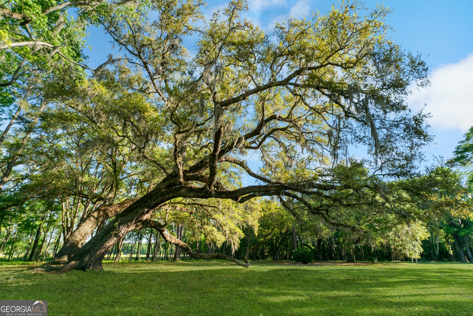 1151 Harry Lindsay Road Guyton - Photo 28