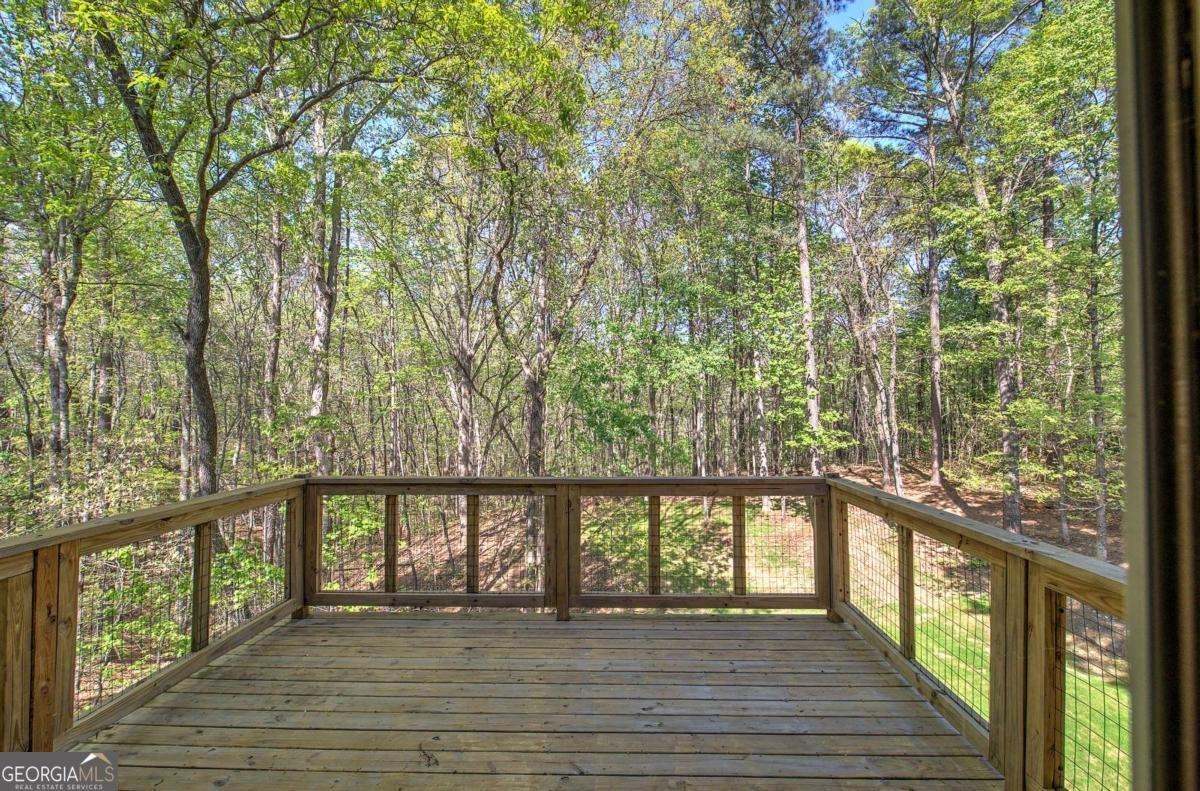 341 Birchwood Farms Lane Dallas - Photo 57