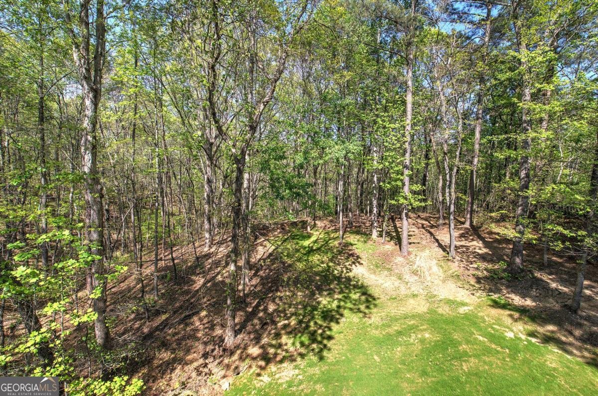 341 Birchwood Farms Lane Dallas - Photo 59