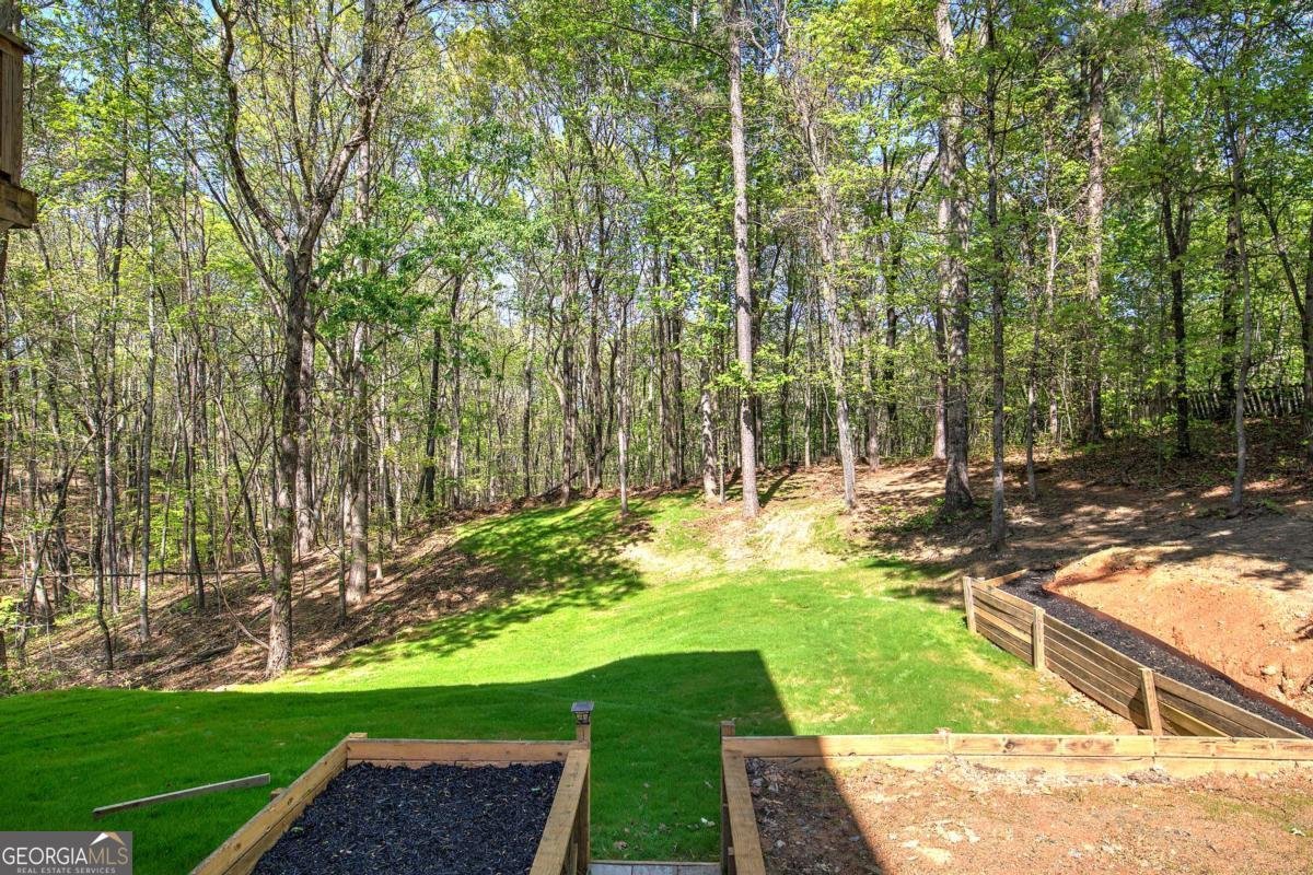 341 Birchwood Farms Lane Dallas - Photo 60