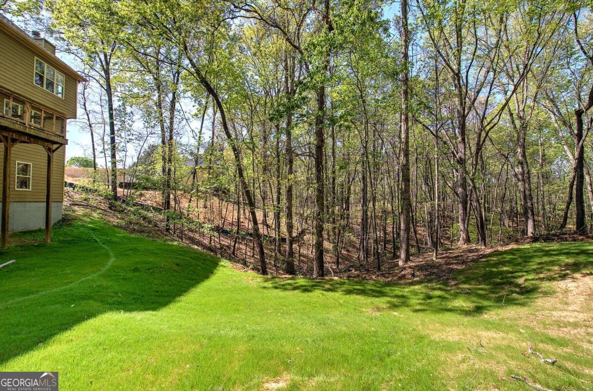 341 Birchwood Farms Lane Dallas - Photo 63