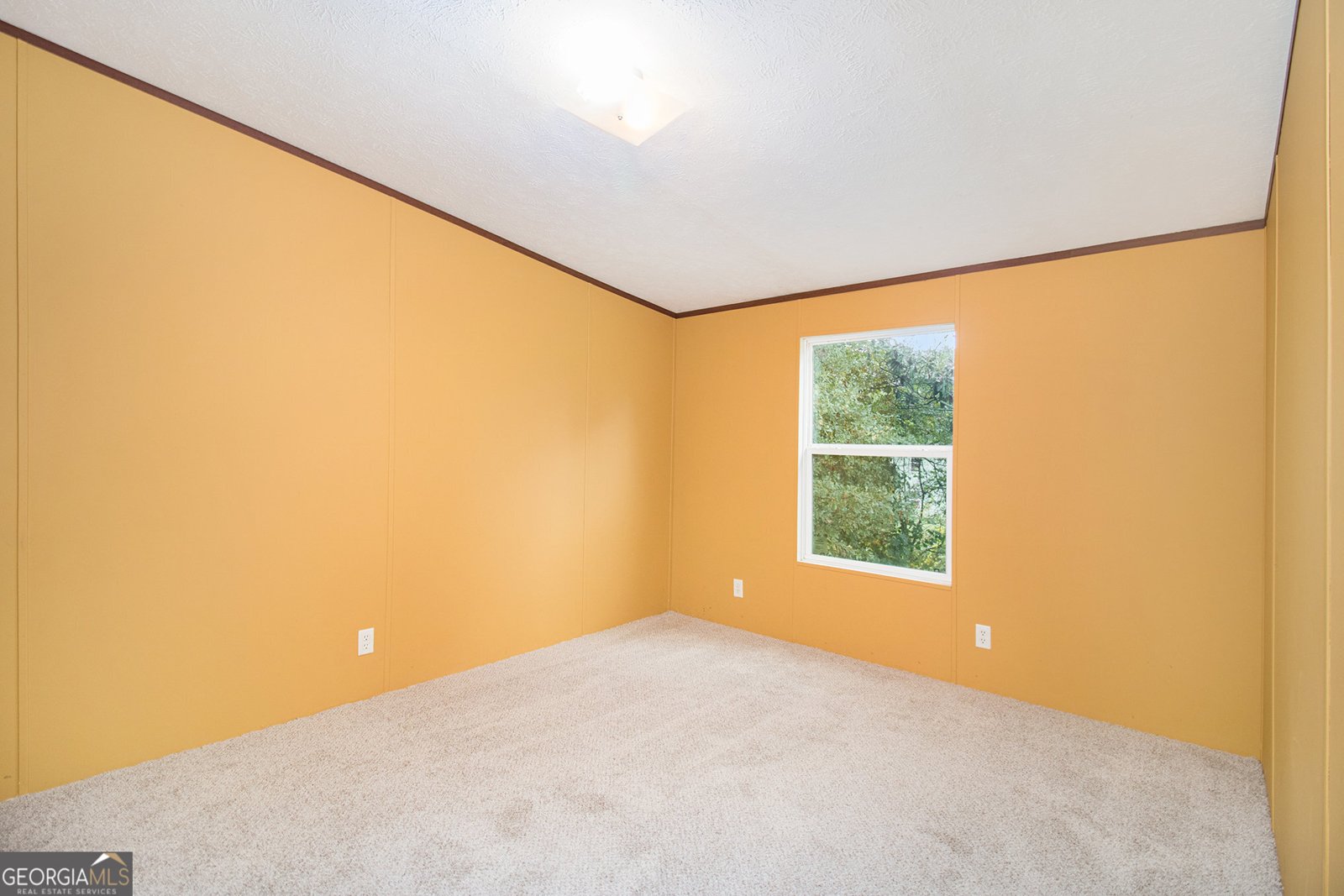 45 Harlan Lane Drive Villa Rica - Photo 19